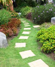 Agence Yellow image 13