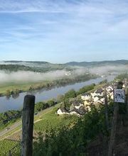 Wein- und Gästehaus Genetsch Bild 4