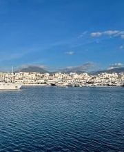 AUSTER SAILORS imagen 7