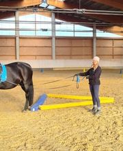 Gesundes Pferd Andrea Möri Bild 1