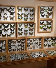 Chateau de Tourrette Levens image 2