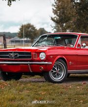 Ein Wochenende Mustang fahren 599€