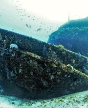 Jaguar Divers - Dive Shop in Playa del Carmen imagen 17