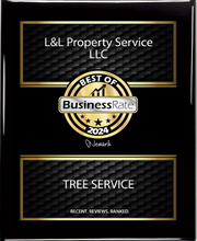 L&L Property Service image 1