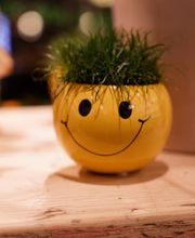 Birgits Blumenkorb Bild 1