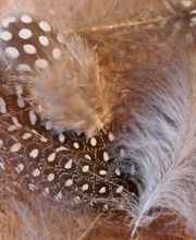 Eliane Brönnimann Seelenkraftwerk GmbH Bild 2