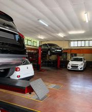 Gallery Cliente