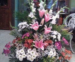 IMG_20160819_093658.jpg