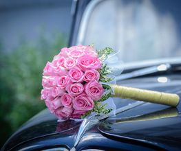 Blumen Geidies Bild 1