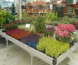 Horticole Guiard SCEA image 2