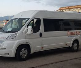 dimarbus03.jpg