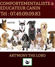 Antonio Rita Educateur et Comportementaliste canin image 3
