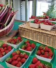 Le Chardon Magasin des Fermes Bio du Perche image 16