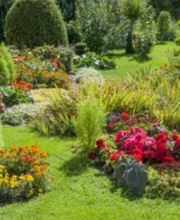 Düzgün Gartenbau Bild 2