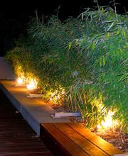 artenGarten GmbH Bild 4