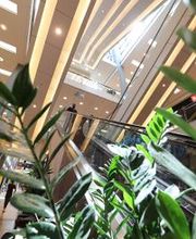 Ettlinger Tor Karlsruhe Bild 13