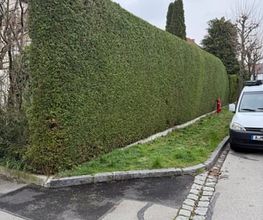 AMS Dienstleistungen Bild 13