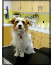 Winking, Tamara Bild 4