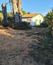 Renard Dianni image 3