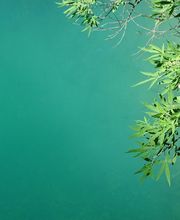 Catherine Costa-Migret image 1