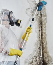 colaves-Schädlingsbekämpfung in Hannover - Hildesheim - Hameln