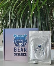 Bear-Science Bild 10