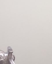 Isabelle Bien Être image 5