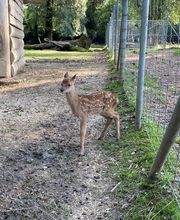 Erlebniswelt Seeteufel Bild 6