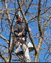 Eifel Cleaning Service Bild 9