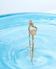 David Création image 6