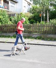 MenschUndHundZentrum Bild 41