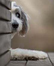 Anja Sehrt Fotografie Bild 8