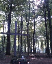 Aarun Bestattungen Bild 3