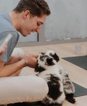 Puppy With Yoga image 2