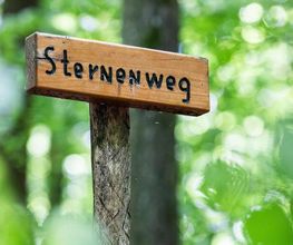 FriedWald Saarbrücken Bild 10