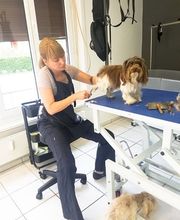 The Dog Barber Bild 2