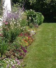 Vogel Gartenbau AG Bild 3