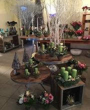 Blumen Müller Bild 2