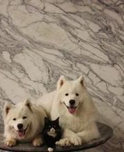 Santo C. DeSpirt Marble & Granite image 16