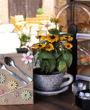 Hof Cafe in den Wiesen Bild 2