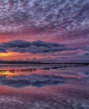 Presqu'Ile D'images image 13