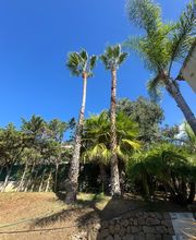 CORSE ELAGAGE image 3