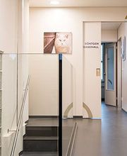Tierklinik Interlaken AG - 24/7 Notfalldienst Bild 5