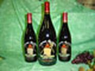 Domaine de la Teppe