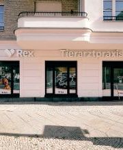 Rex Tierarztpraxis Berlin-Schöneberg Bild 1