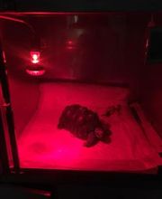 Clínica Veterinaria Okapi imagen 19