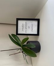 Centre du sourire - Dental Smile Solutions Sàrl Bild 1