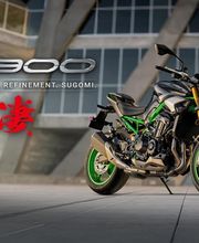 Hans Leupi - Leupimoto Bild 8