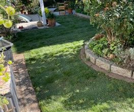 Haus- und Gartenservice - Mittelfranken Pavel Vostarek Bild 11