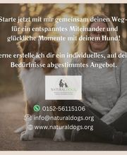 natural.dogs. Bild 3